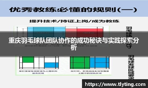 必一运动重庆羽毛球队团队协作的成功秘诀与实践探索分析